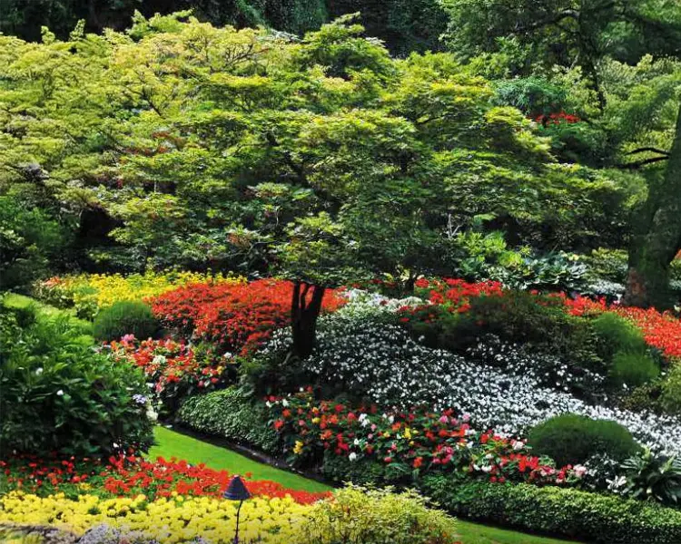 Godrej Nature Plus Phase I Hero