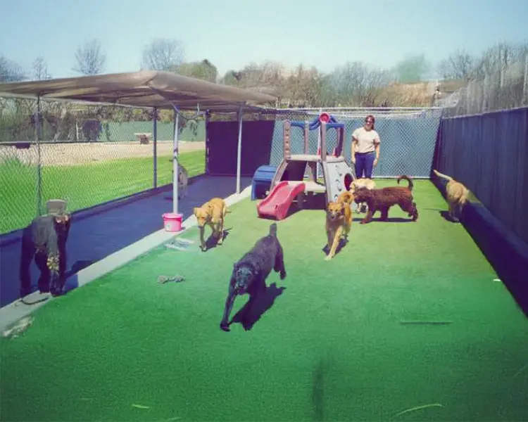 Godrej Nature Plus Phase I Hero