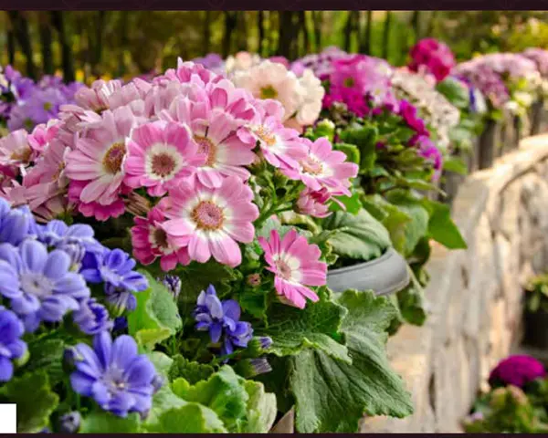 JMS Premier Floors Builder Floor