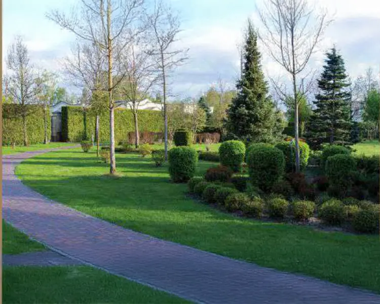 LykeHomes Avenue Farukhnagar